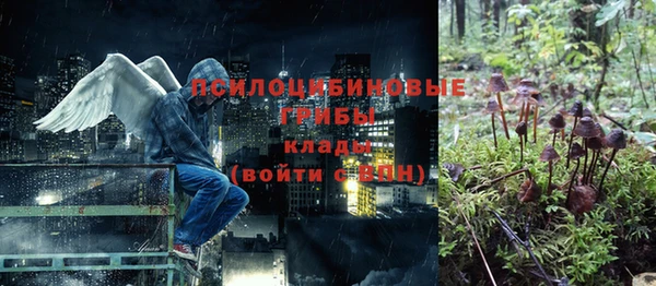 соль ск Касимов