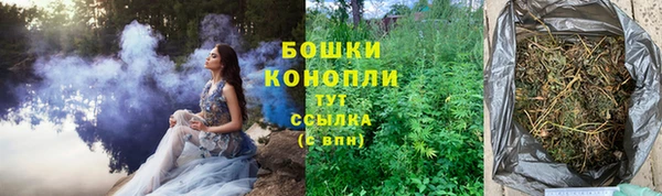 соль ск Касимов