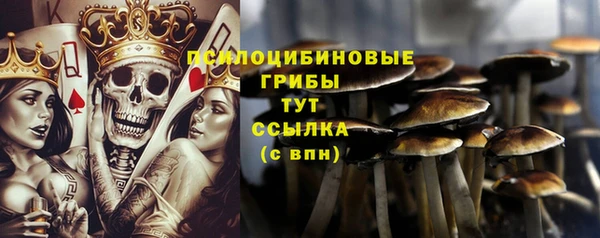 Альфа ПВП Карталы